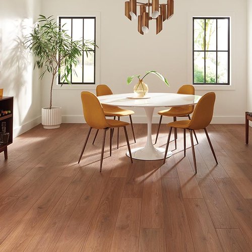 Dining Room Luxury Vinyl Plank LVP -  CarpetsPlus of Fairmont in Fairmont, MN